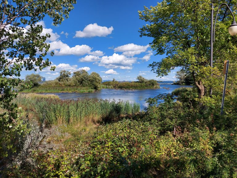 Paysage naturel